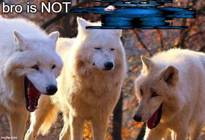 Laughing wolf | bro is NOT | image tagged in laughing wolf | made w/ Imgflip meme maker