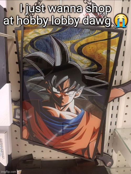 I didn't even do anything this time bro </3 | I just wanna shop at hobby lobby dawg 😭 | made w/ Imgflip meme maker