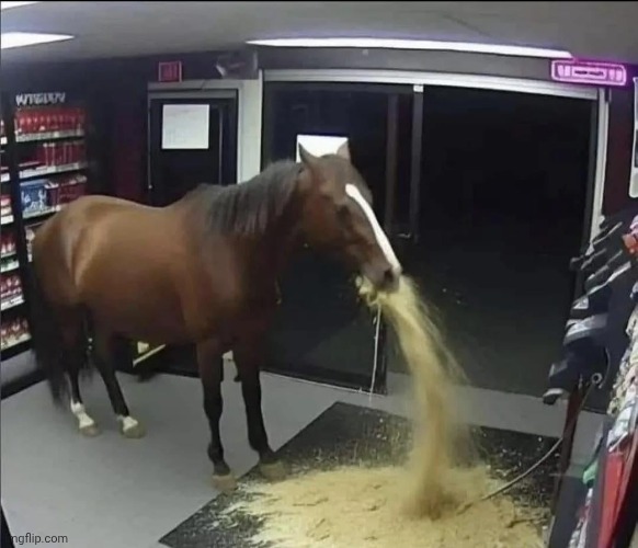 Horse | made w/ Imgflip meme maker