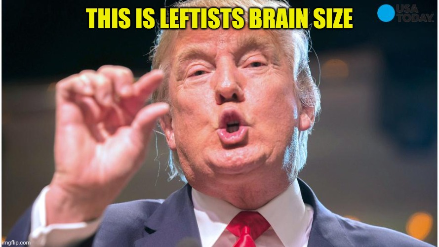 Leftists brain size be like: | This is leftists brain size | image tagged in donald trump small brain | made w/ Imgflip meme maker