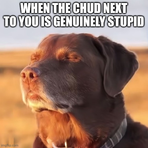 When the chud next to you is genuinely stupid | image tagged in chud | made w/ Imgflip meme maker