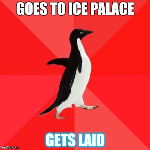 Socially Awesome Penguin | GOES TO ICE PALACE GETS LAID | image tagged in memes,socially awesome penguin | made w/ Imgflip meme maker