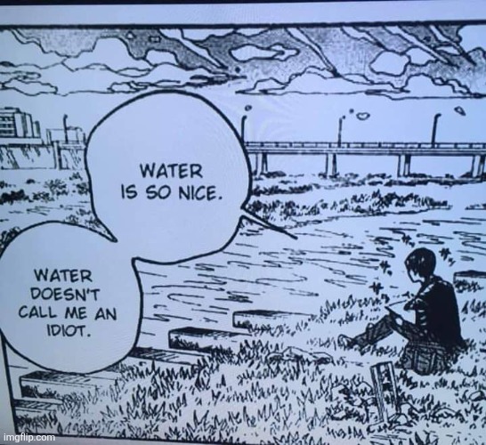 Water is so nice,  water doesn't call me an idiot | image tagged in water is so nice water doesn't call me an idiot | made w/ Imgflip meme maker