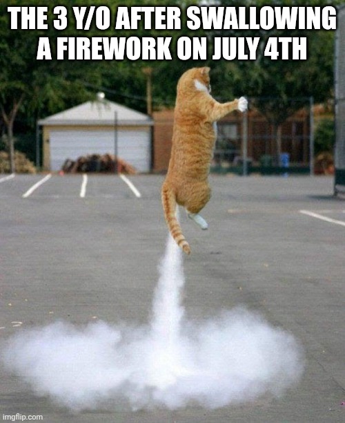 Farting Cat | The 3 y/o after swallowing a firework on July 4th | image tagged in farting cat | made w/ Imgflip meme maker