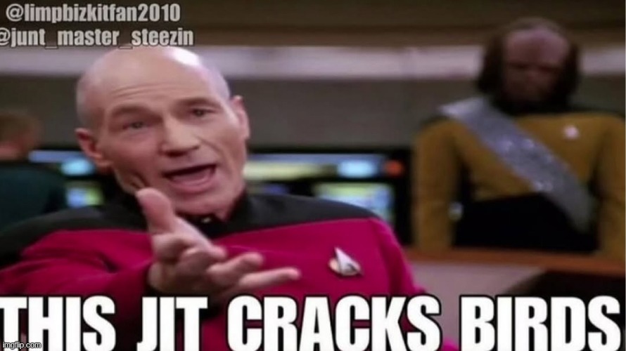 this jit cracks birds | image tagged in this jit cracks birds | made w/ Imgflip meme maker
