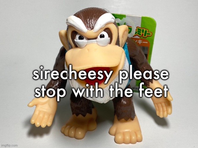 cranky kong | sirecheesy please stop with the feet | image tagged in cranky kong | made w/ Imgflip meme maker