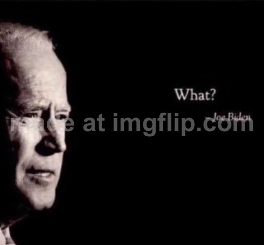 joe biden what | image tagged in joe biden what | made w/ Imgflip meme maker