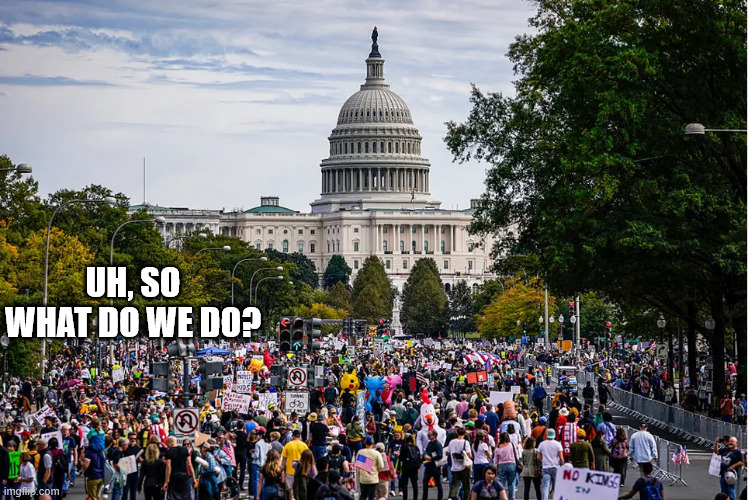 uh, so what do we do? | made w/ Imgflip meme maker