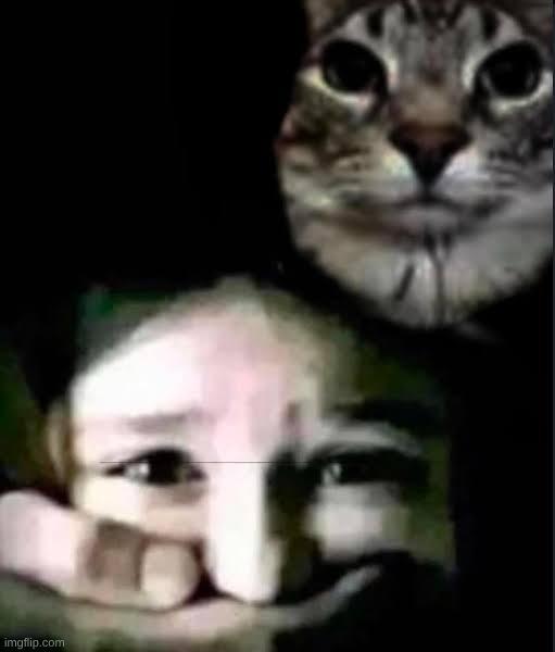 Cat kidnapping child | image tagged in cat kidnapping child | made w/ Imgflip meme maker