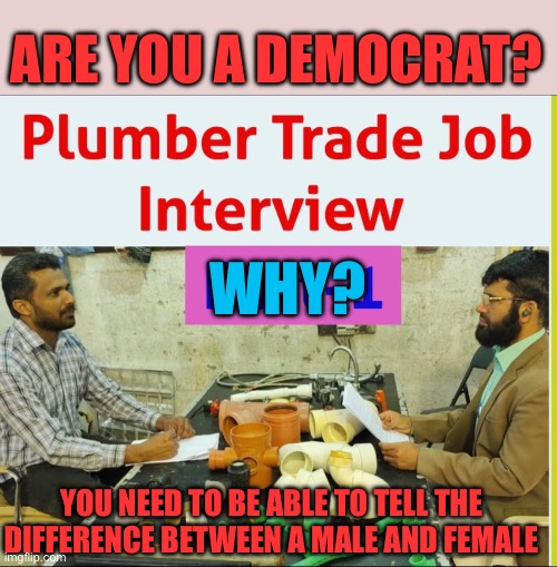 No Democrat Plumbers | Are you a Democrat? Why? You need to be able to tell the difference between a male and female | image tagged in gifs,democrats,democratic socialism,woke,funny | made w/ Imgflip meme maker