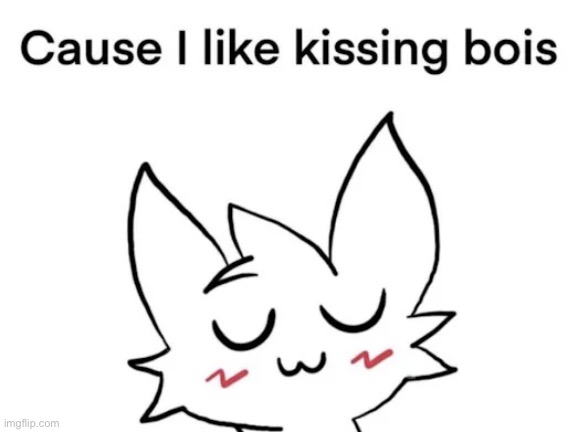 Cause I like kissing bois | image tagged in cause i like kissing bois | made w/ Imgflip meme maker