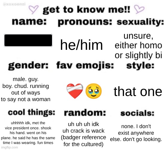 ig bro </3 | he/him; unsure, either homo or slightly bi; ❤‍🩹🥹; that one; male. guy. boy. chud. running out of ways to say not a woman; none. I don't exist anywhere else. don't go looking. uh uh uh idk uh crack is wack (badger reference for the cultured); uhhhhh idk, met the vice president once. shook his hand. went on his plane. he said he has the same time I was wearing. fun times | image tagged in get to know me but better | made w/ Imgflip meme maker