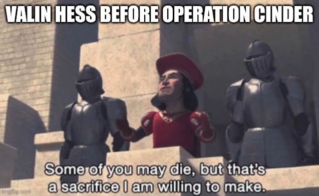 Shrek | Valin Hess before Operation Cinder | image tagged in shrek | made w/ Imgflip meme maker