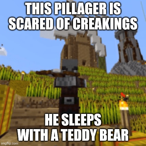 Pillager | This pillager is scared of creakings; He sleeps with a teddy bear | image tagged in pillager | made w/ Imgflip meme maker