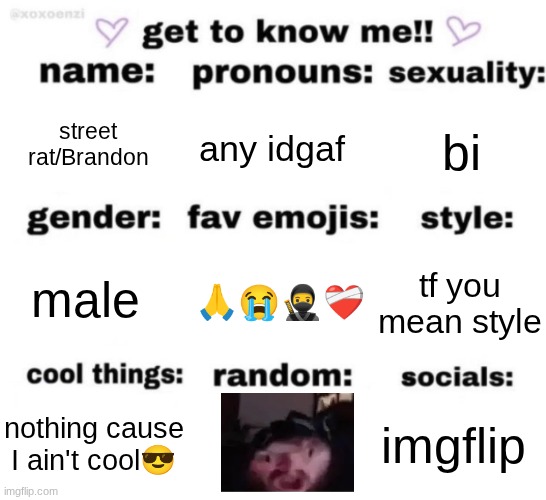 get to know me but better | street rat/Brandon; any idgaf; bi; 🙏😭🥷❤‍🩹; tf you mean style; male; imgflip; nothing cause I ain't cool😎 | image tagged in get to know me but better | made w/ Imgflip meme maker
