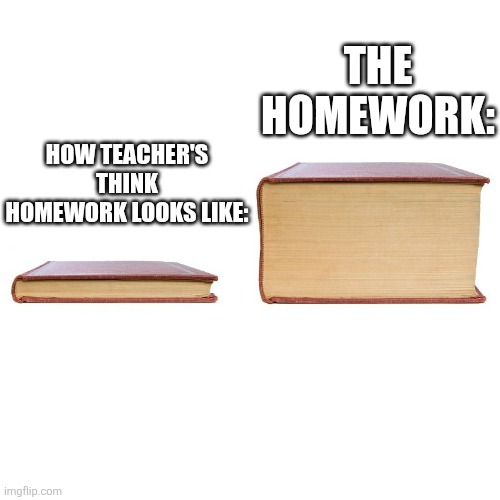 small big book | The homework:; How teacher's think homework looks like: | image tagged in small big book | made w/ Imgflip meme maker