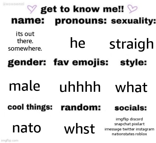 get to know me but better | its out there. somewhere. he; straigh; uhhhh; what; male; imgflip discord snapchat pixilart imessage twitter instagram nationstates roblox; whst; nato | image tagged in get to know me but better | made w/ Imgflip meme maker