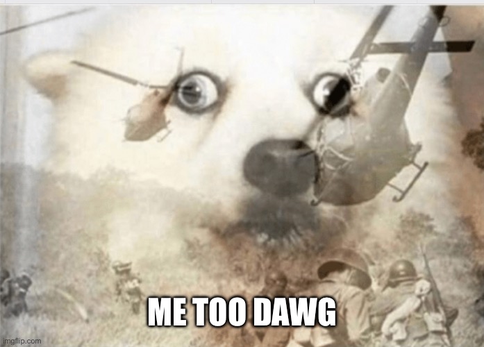 PTSD dog | Me too dawg | image tagged in ptsd dog | made w/ Imgflip meme maker