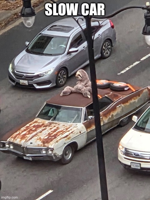Sloooooow | Slow car | image tagged in slow,car,sloth | made w/ Imgflip meme maker