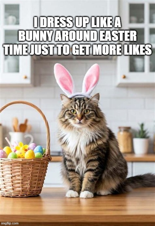 Cat dresses up around Easter just to get more likes. | I dress up like a bunny around easter time just to get more likes | image tagged in funny,humor,cat,kittens,easter,easter bunny | made w/ Imgflip meme maker
