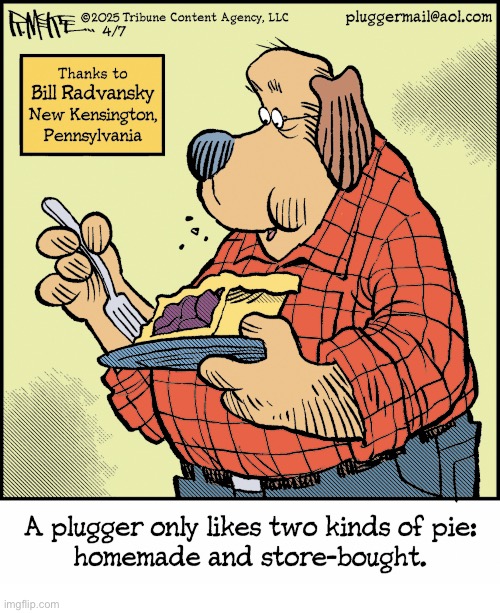 Pluggers | image tagged in comics,pluggers,pie,two kinds,homemade,store bought | made w/ Imgflip meme maker