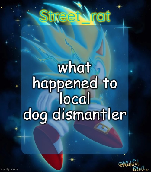 Rat's hyper sonic temp 2: electric boogaloo | what happened to local dog dismantler | image tagged in rat's hyper sonic temp 2 electric boogaloo | made w/ Imgflip meme maker