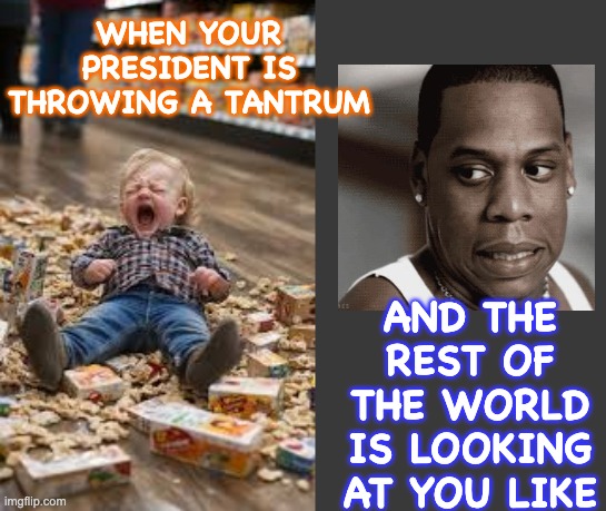 He won't stop if you spoil him | when your president is throwing a tantrum; and the rest of the world is looking at you like | image tagged in grocery tantrum toddler,embarrassing,trump,idiocracy,war | made w/ Imgflip meme maker
