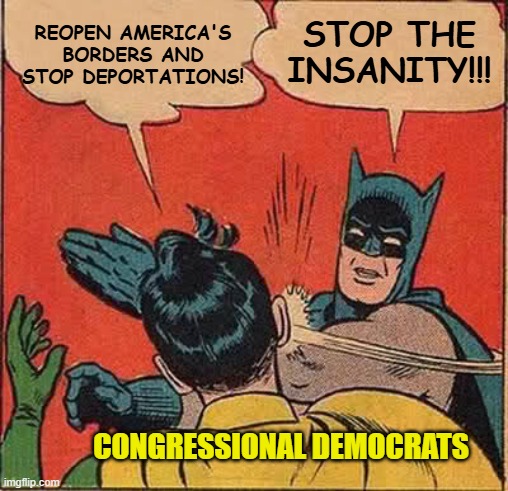 No Borders, No Country | REopen america's borders and stop deportations! stop the insanity!!! congressional democrats | image tagged in memes,batman slapping robin,illegal immigration,deportations | made w/ Imgflip meme maker
