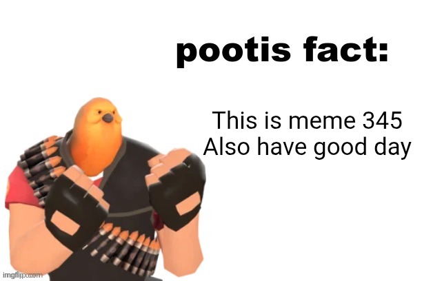 POOTIS | This is meme 345

Also have good day | image tagged in pootis fact | made w/ Imgflip meme maker
