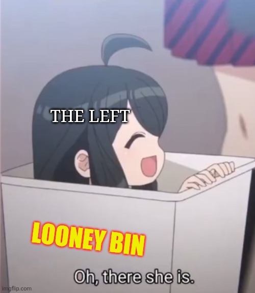 Really though | The left; Looney bin | image tagged in oh their she is | made w/ Imgflip meme maker