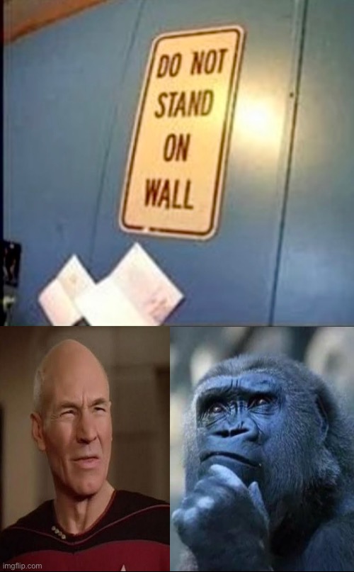 Umm how? | image tagged in picard wtf,thinking ape,dafuq did i just read,nonsense,absurd,how to | made w/ Imgflip meme maker