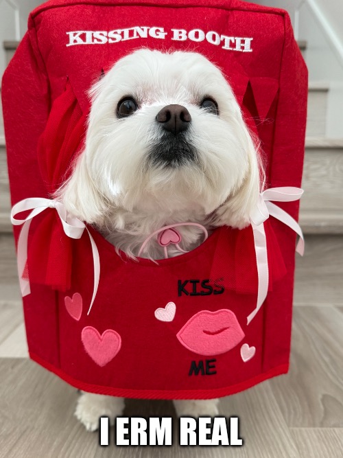 I erm real | made w/ Imgflip meme maker