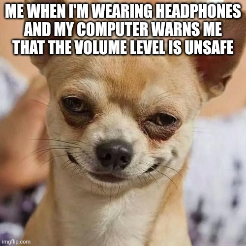 Smirking Dog | Me when I'm wearing headphones and my computer warns me that the volume level is unsafe | image tagged in smirking dog | made w/ Imgflip meme maker