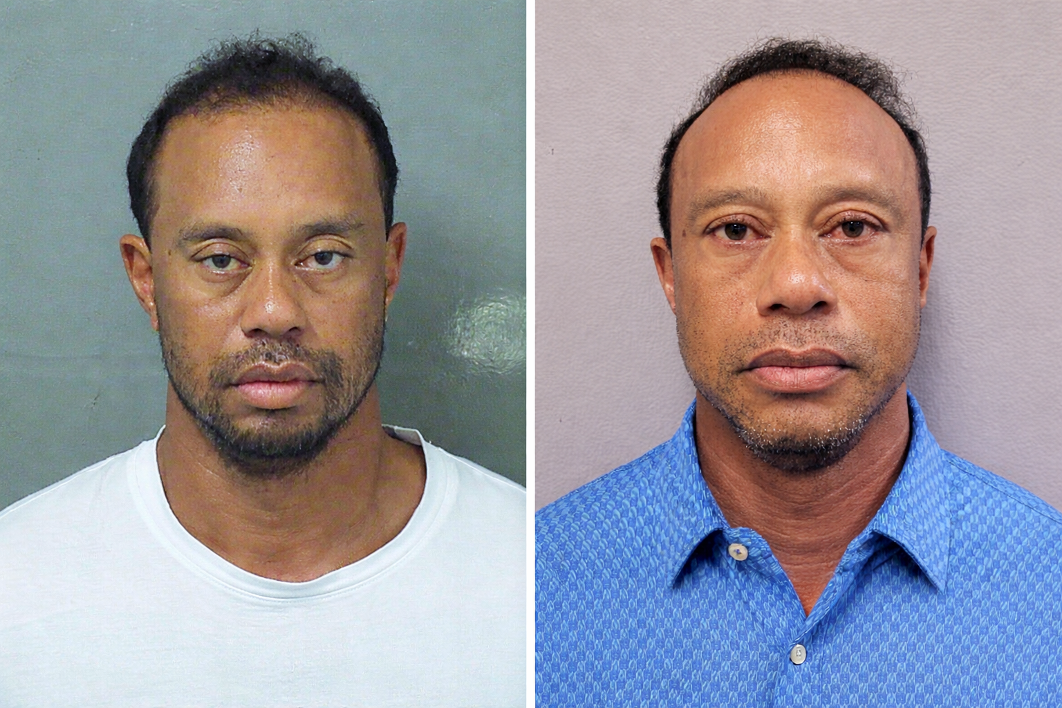 Tiger Woods DUI Mug Shots Blank Meme Template
