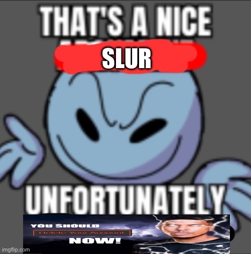 slur | image tagged in that's a nice unfortunately your mother | made w/ Imgflip meme maker