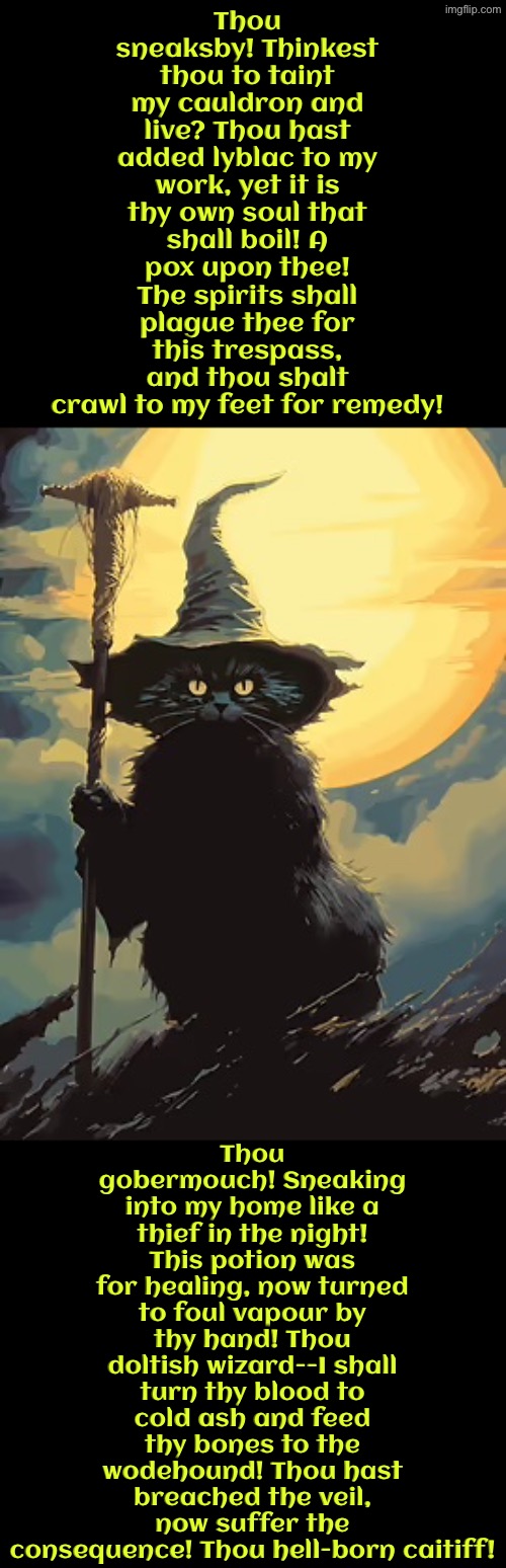 Thou Gobermouch | Thou sneaksby! Thinkest thou to taint my cauldron and live? Thou hast added lyblac to my work, yet it is thy own soul that shall boil! A pox upon thee! The spirits shall plague thee for this trespass, and thou shalt crawl to my feet for remedy! Thou gobermouch! Sneaking into my home like a thief in the night! This potion was for healing, now turned to foul vapour by thy hand! Thou doltish wizard--I shall turn thy blood to cold ash and feed thy bones to the wodehound! Thou hast breached the veil, now suffer the consequence! Thou hell-born caitiff! | image tagged in cats,medieval memes,witches,wizard,cursed,insults | made w/ Imgflip meme maker