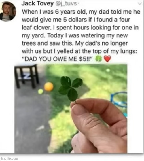 This kinda warmed my heart | image tagged in repost | made w/ Imgflip meme maker