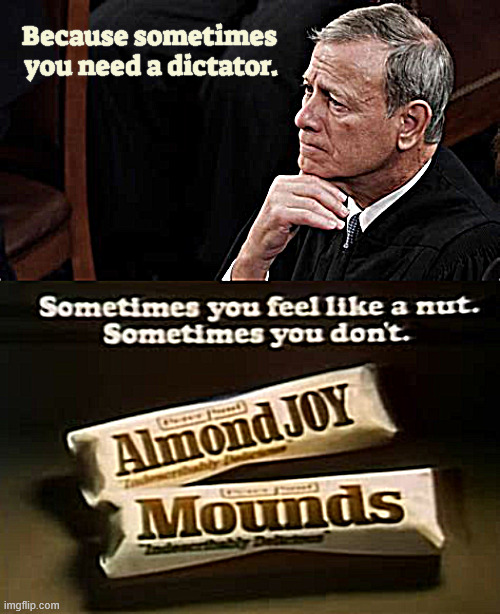 Nuts | Because sometimes 

you need a dictator. | image tagged in nuts,sometims you feel like nut,sometimes you don't,almound joy,got nuts,john roberts nuts | made w/ Imgflip meme maker