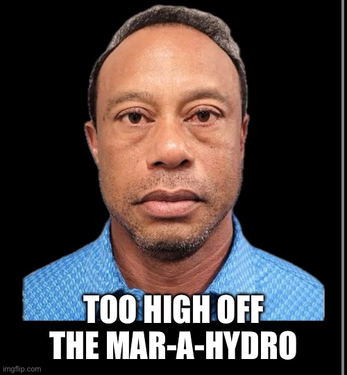 Too High off the Mar-a-Hydro | image tagged in funny,memes,politics,jeffrey epstein,sports,wasted | made w/ Imgflip meme maker