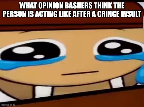 The Other User Is Crying Right Now | What Opinion Bashers Think The Person Is Acting Like After A Cringe Insult | image tagged in sprunki,memes,cornball | made w/ Imgflip meme maker