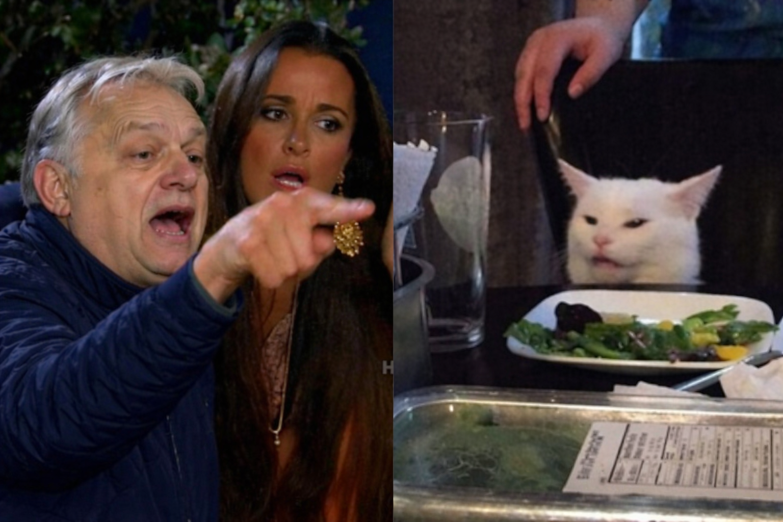 Orban yelling at a cat Blank Meme Template