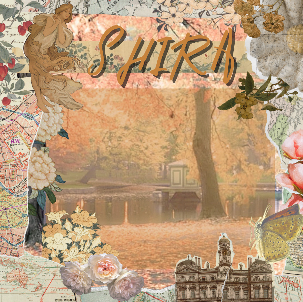 High Quality shira’s sweet temp Blank Meme Template