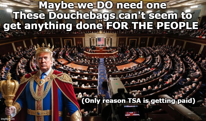 Maybe we DO need one
These Douchebags can't seem to get anything done FOR THE PEOPLE; (Only reason TSA is getting paid) | made w/ Imgflip meme maker