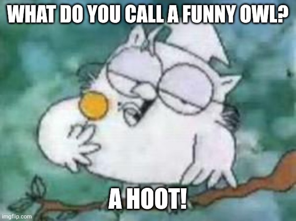 A funny owl joke | What do you call a funny owl? A hoot! | image tagged in tootsie pop owl,jokes,joke,hoot | made w/ Imgflip meme maker
