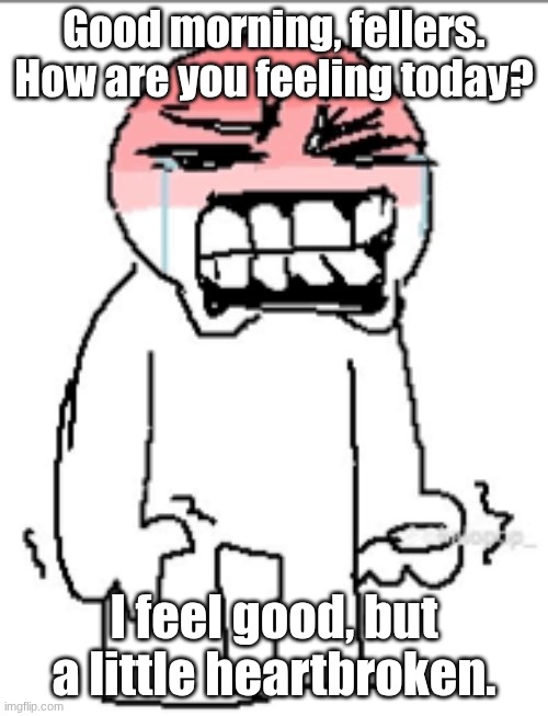 Holding back tears | Good morning, fellers. How are you feeling today? I feel good, but a little heartbroken. | image tagged in holding back tears | made w/ Imgflip meme maker