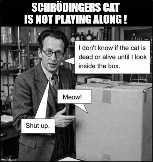 Demonstration Ruined ! | Schrödingers Cat Is Not Playing Along ! | image tagged in cats,schrodinger,demonstration,fail | made w/ Imgflip meme maker