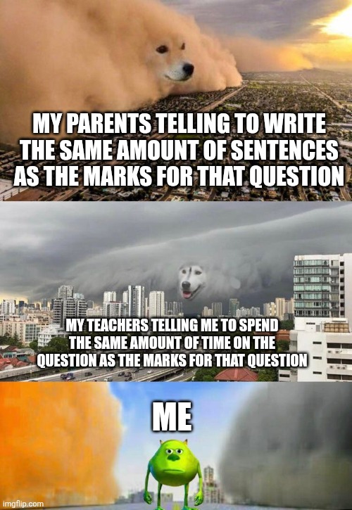 What do I do? | My parents telling to write the same amount of sentences as the marks for that question; My teachers telling me to spend the same amount of time on the question as the marks for that question; Me | image tagged in memes,school | made w/ Imgflip meme maker
