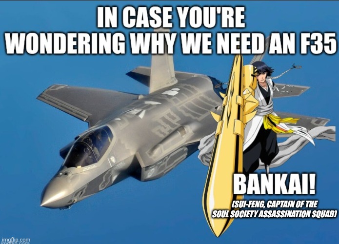 F35 | (Sui-Feng, captain of the Soul Society Assassination Squad) | image tagged in bankai | made w/ Imgflip meme maker