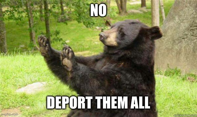 How about no bear | No Deport them all | image tagged in how about no bear | made w/ Imgflip meme maker