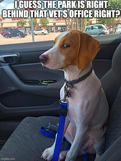 I Guess The Park Is Right Behind That Vet's Office Right? | I guess the park is right behind that Vet's office right? | image tagged in chrisjoines1 | made w/ Imgflip meme maker